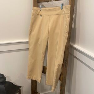 Alfani Capri Pants - Plus size